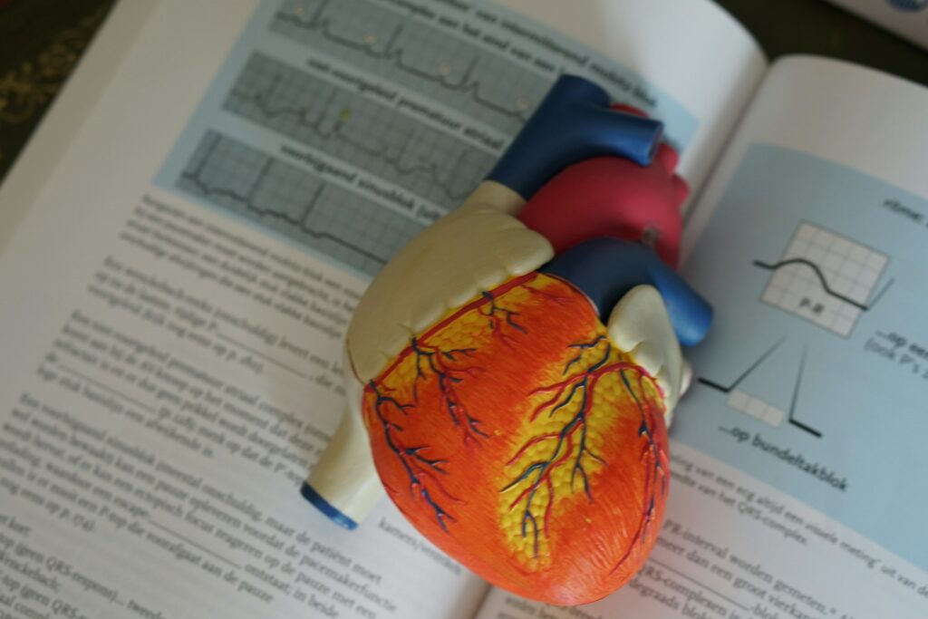 Modelo de corazón sobre libro de medicina